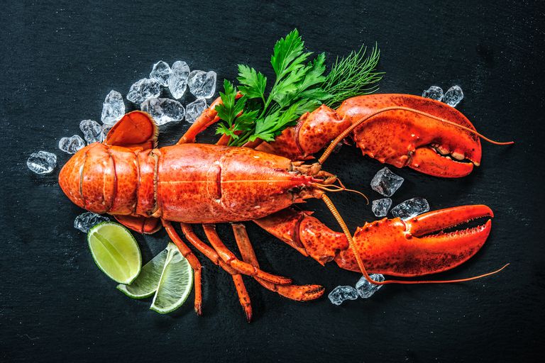 in switzerland, it"s illegal to boil a lobster alive