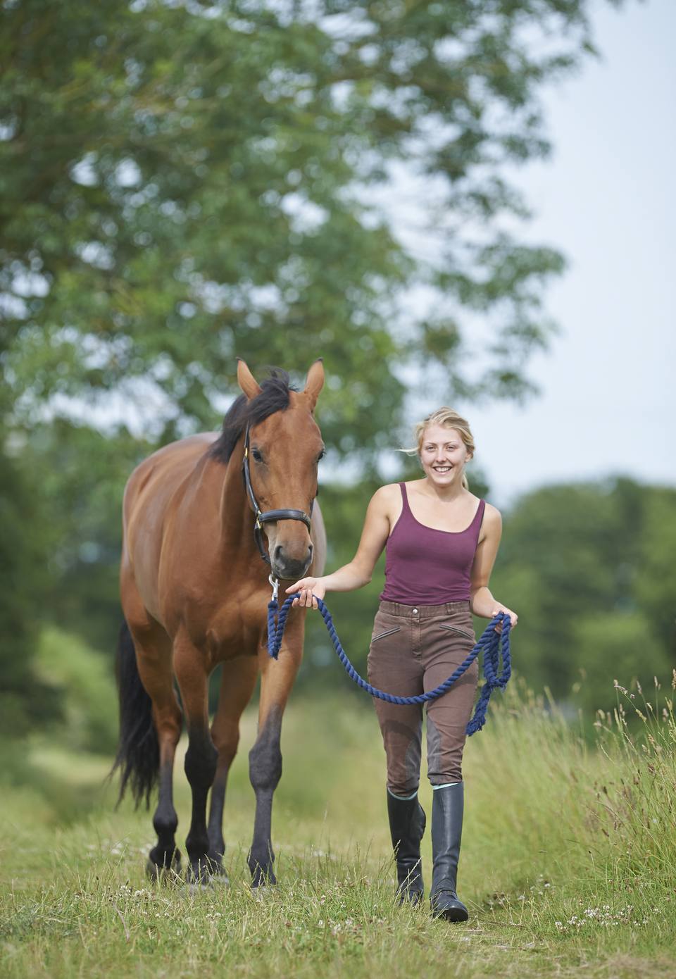 spend time with your horse, out of the saddle.