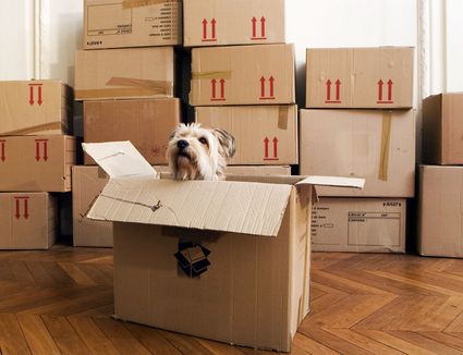 What You Need To Know Kitchen Moving Boxes