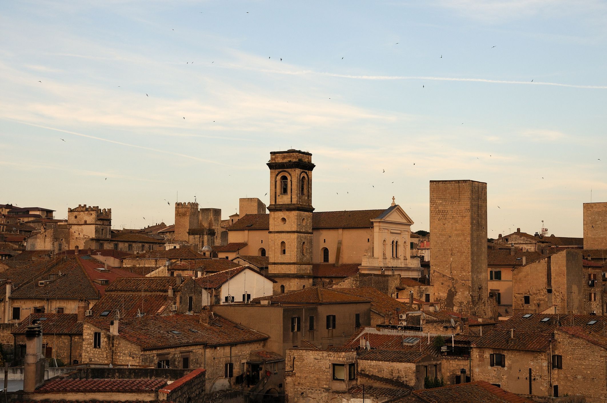 Tarquinia Travel Essentials Etruscan Tombs and Museum