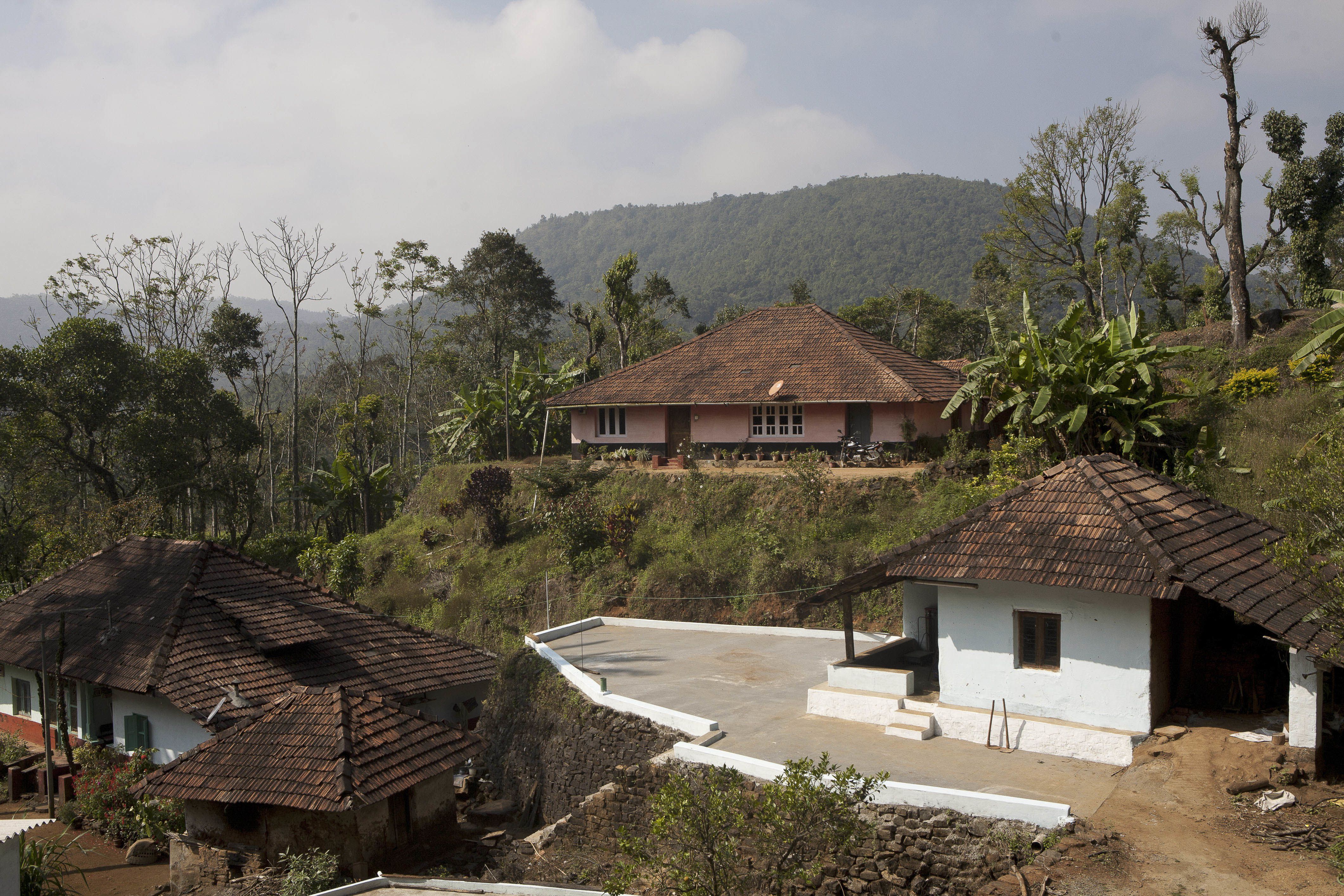 11 Picturesque Photos of Coorg in Karnataka