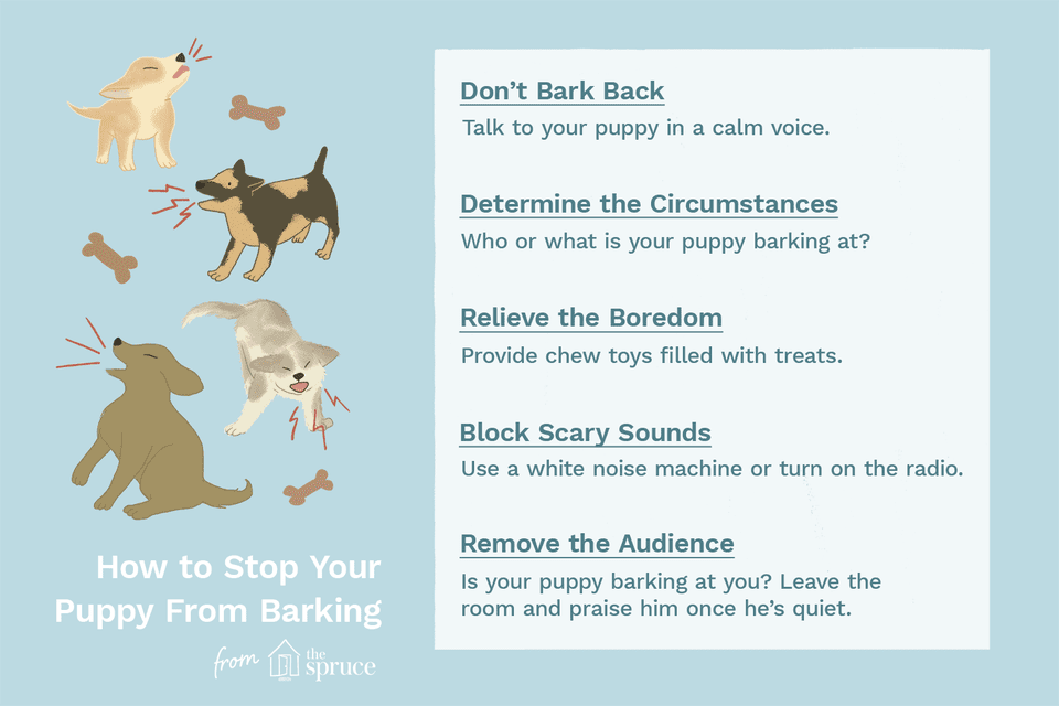 10 Ways to Help Stop a Puppy Dog From Barking