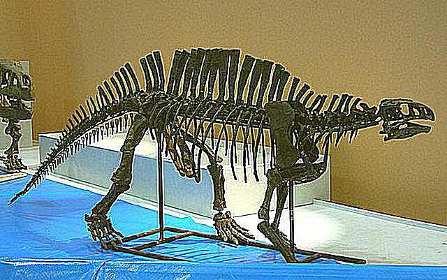 Archosaur Pictures and Profiles