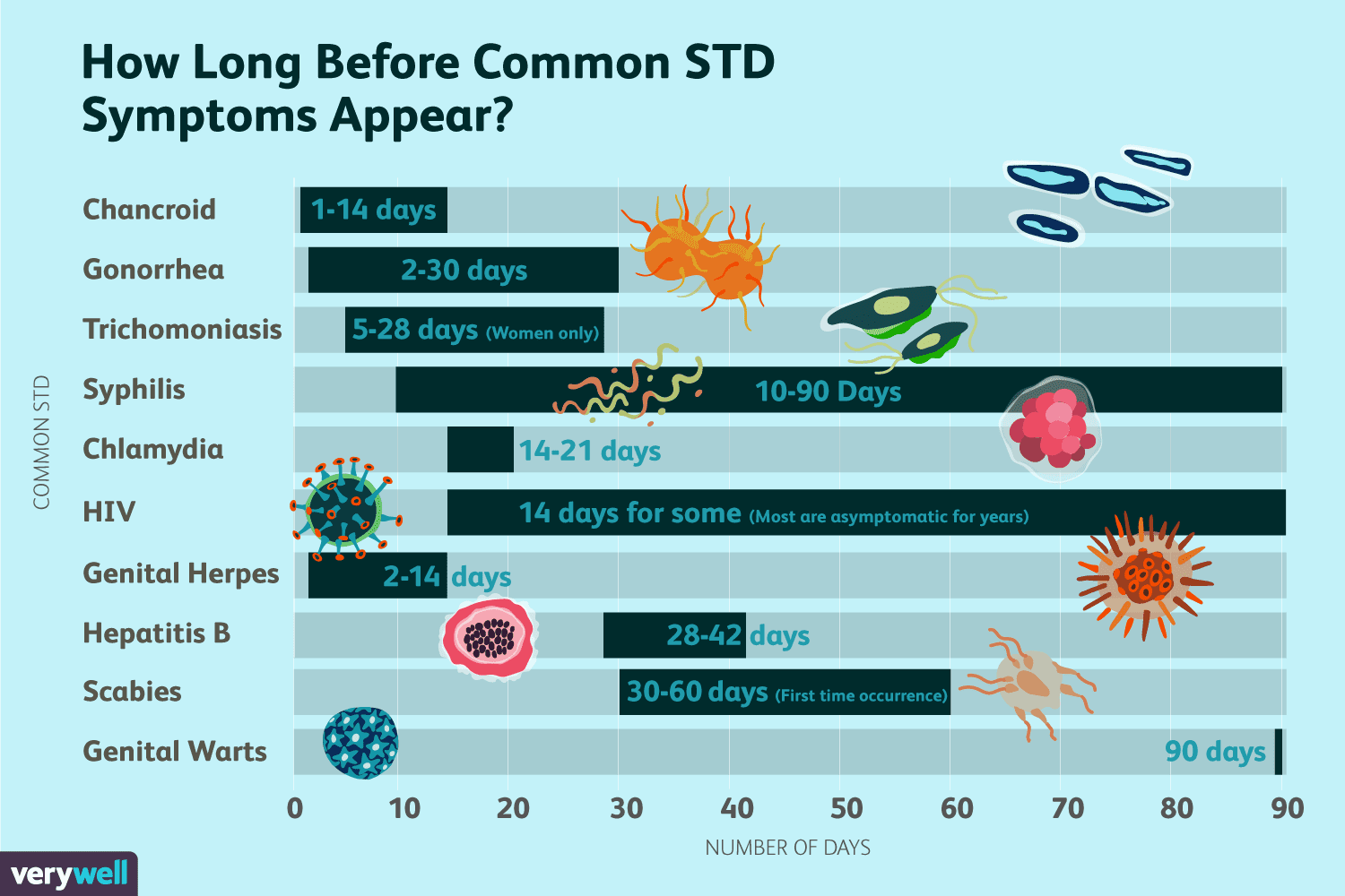 The Incubation Period Of Common Stds-7485