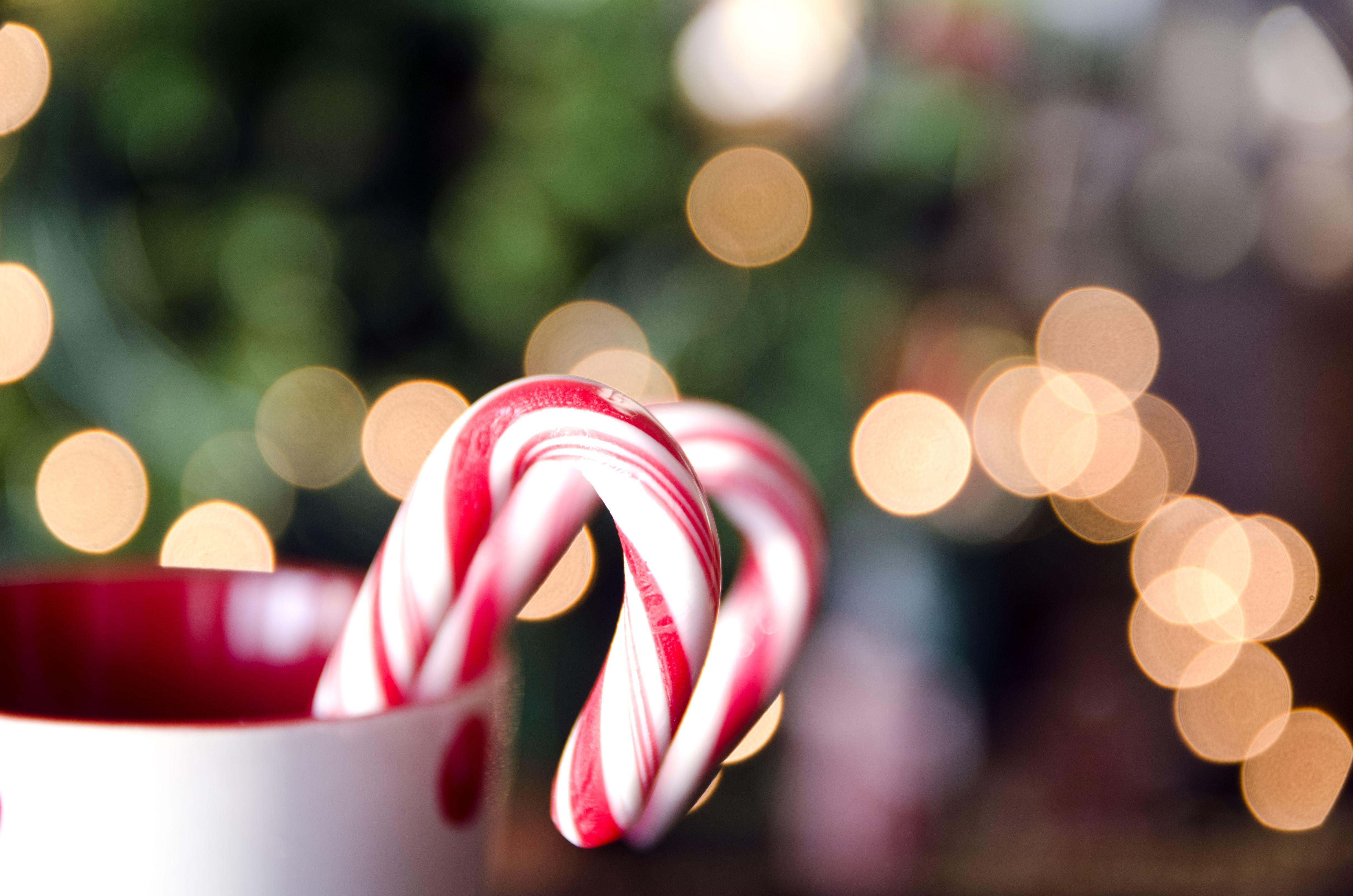 Homemade Candy Canes Recipe