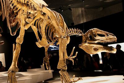 biggest raptor dinosaur