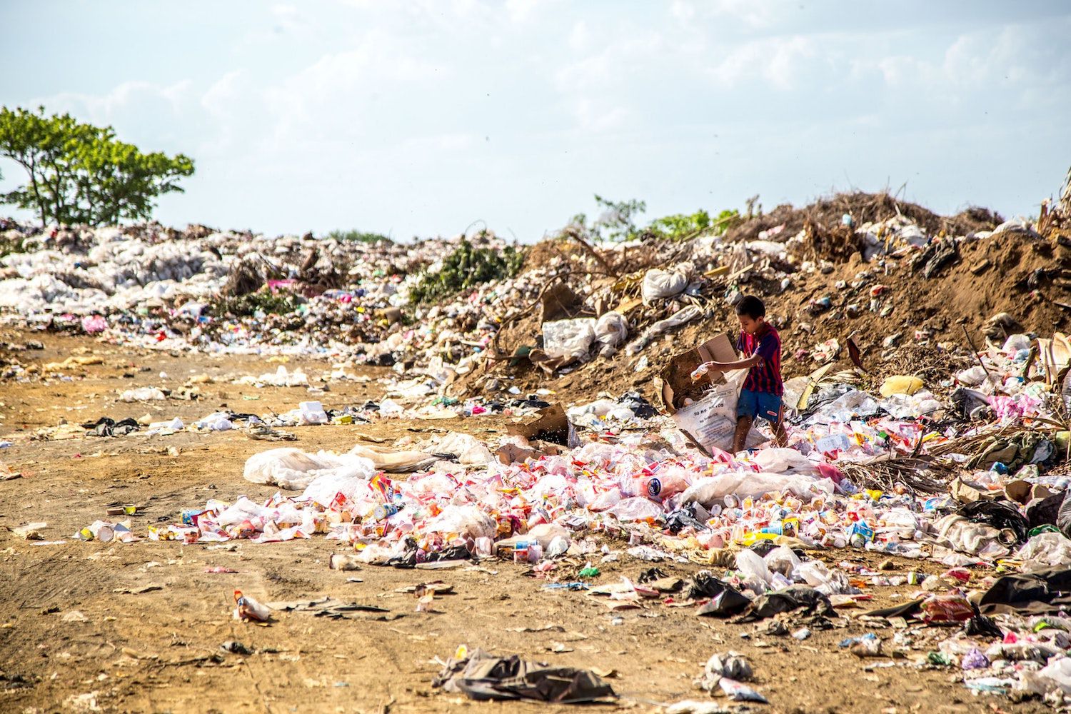 Fight Against Single-Use Plastics