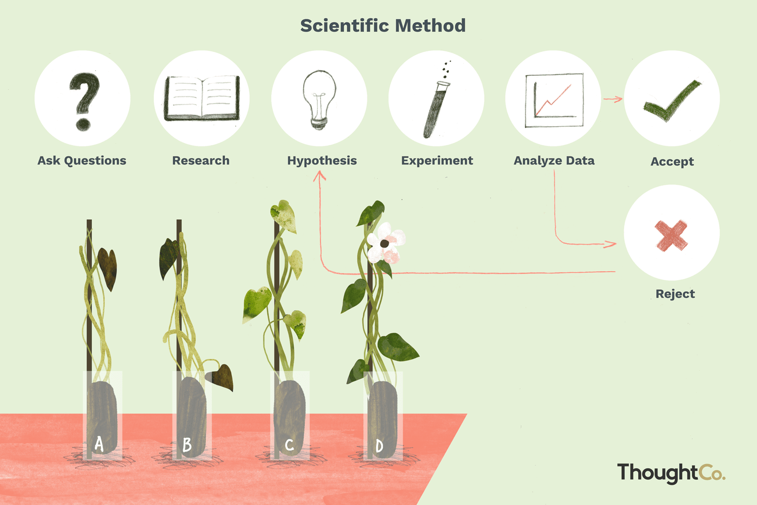 6-steps-of-the-scientific-method