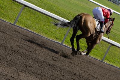 Computer Horse Program Racing Uk Race