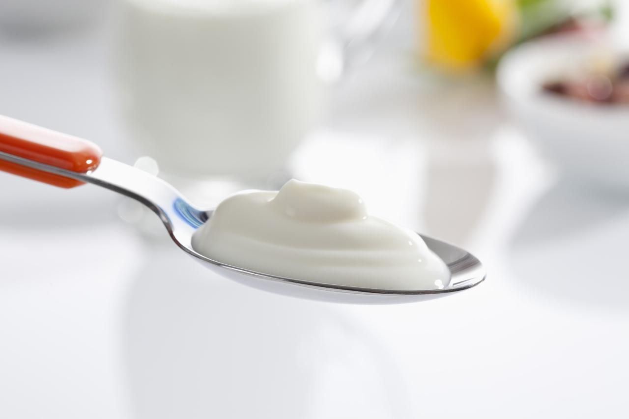 Make Yogurt Without a Yogurt Maker