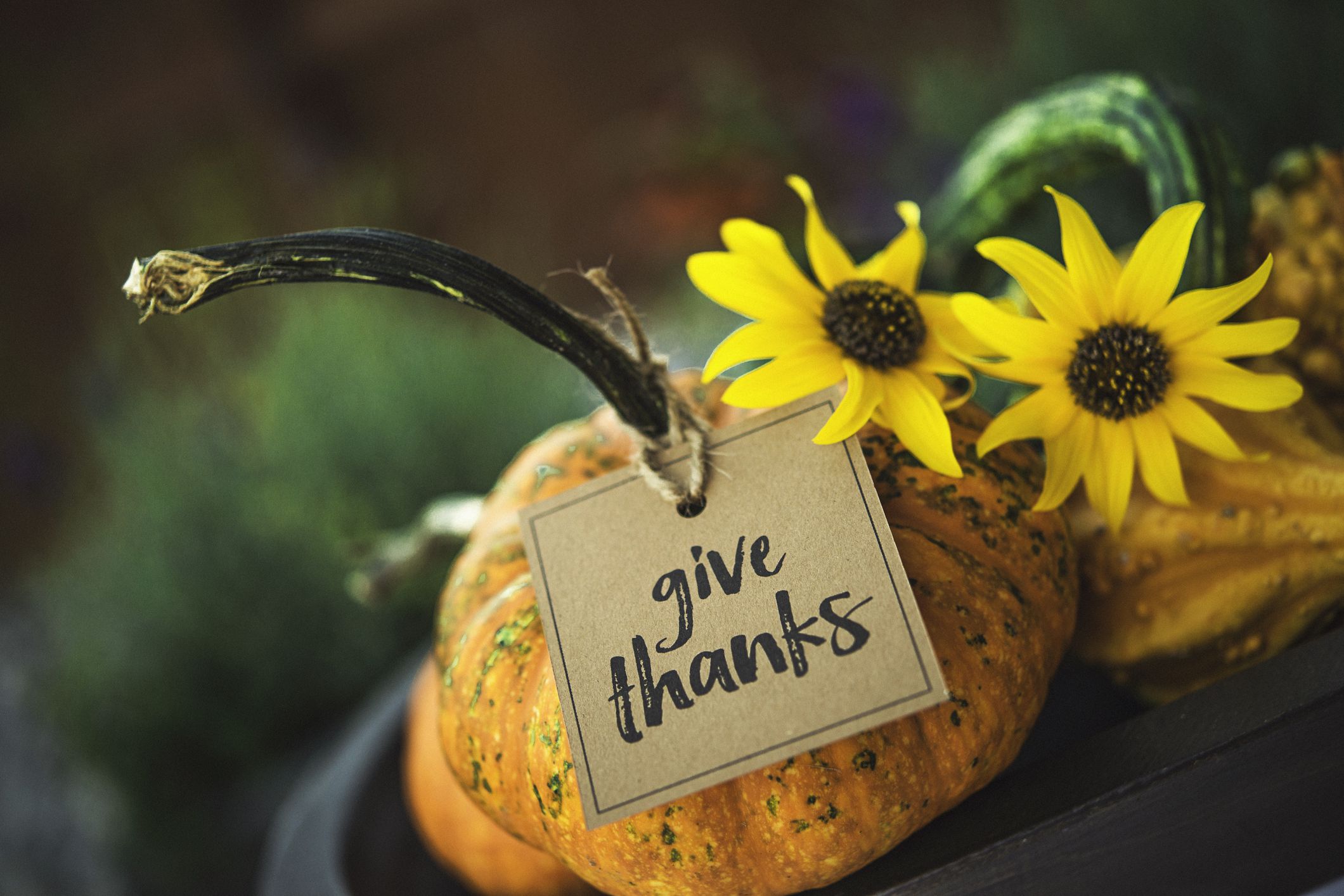 14 Inspirational Quotes on Gratitude for Thanksgiving