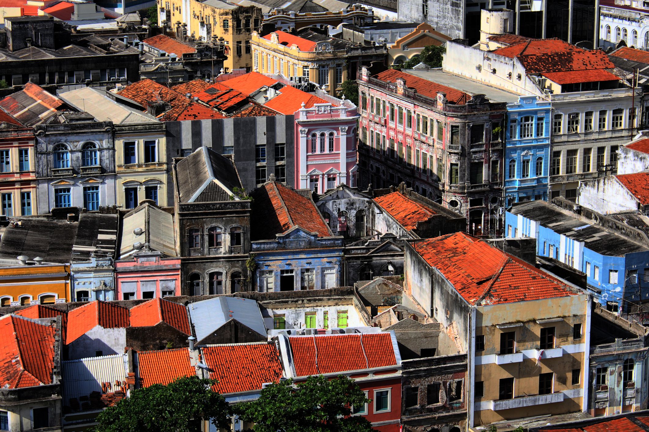 top-10-things-to-do-in-brazil-s-fourth-largest-city-recife