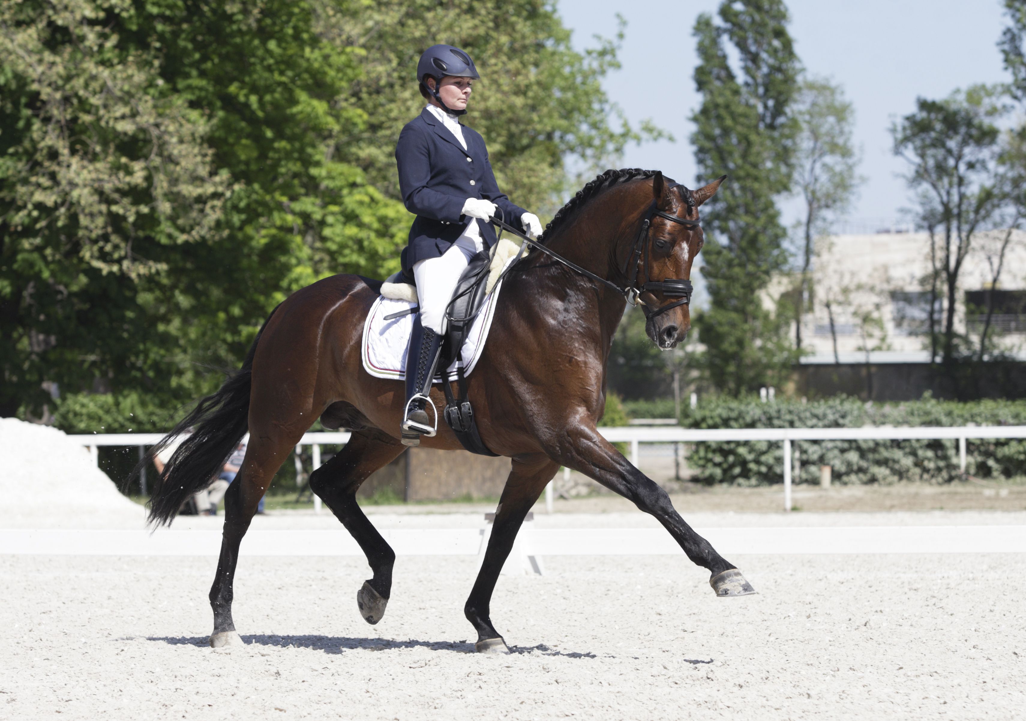 an-introduction-to-the-sport-of-dressage-riding