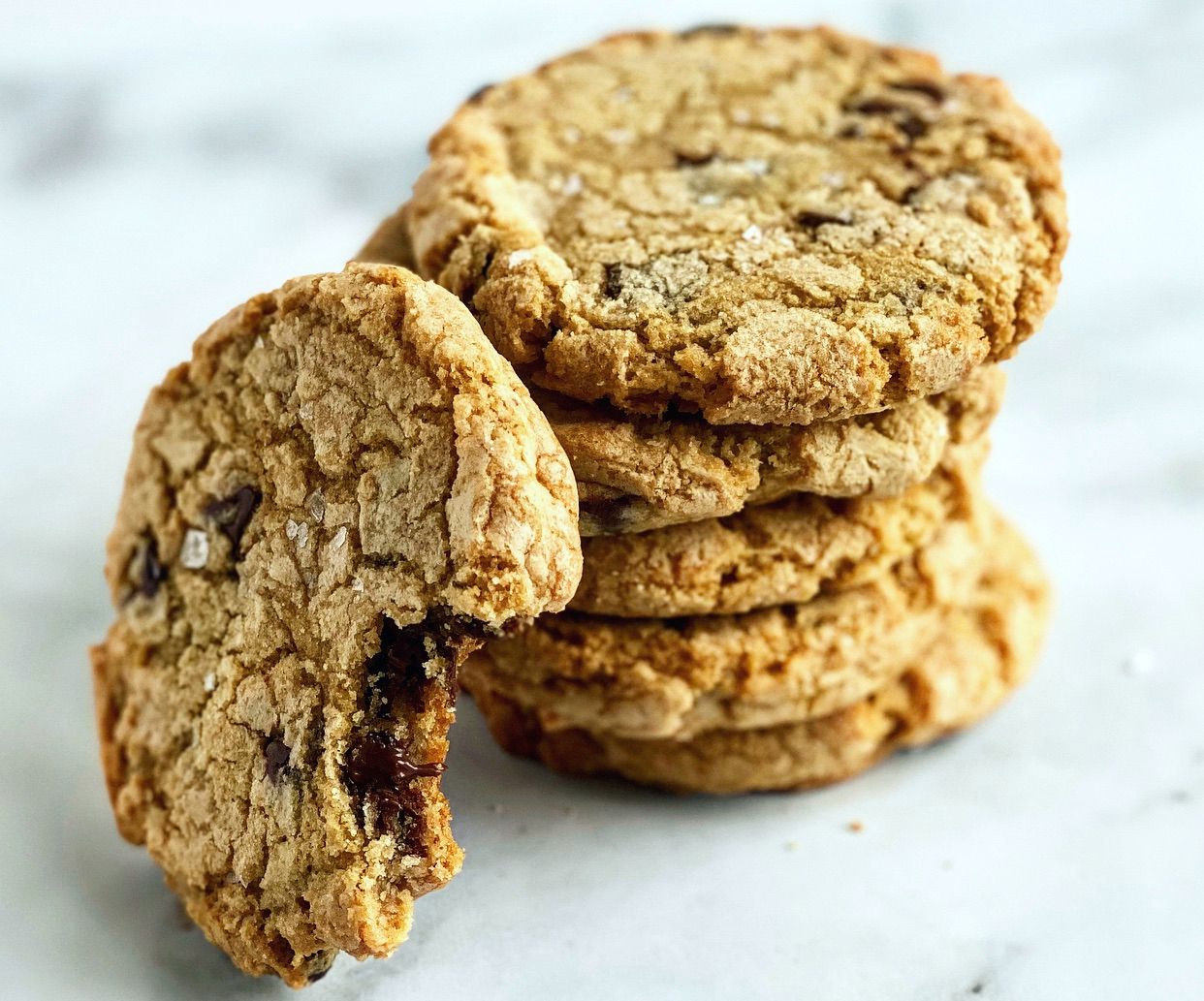 Chocolate Chip Cookie