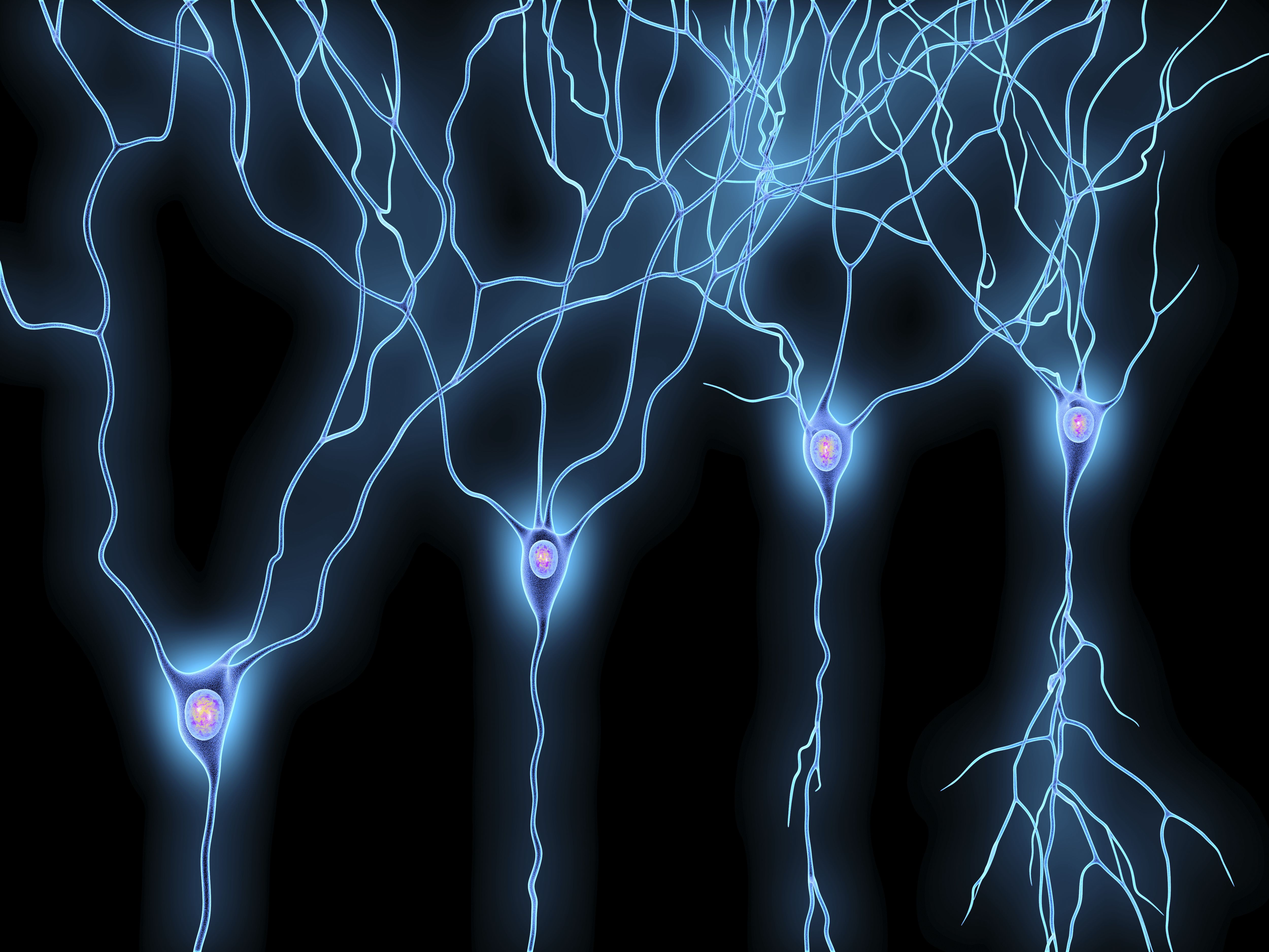 small-fiber-neuropathy-in-fibromyalgia-and-cfs