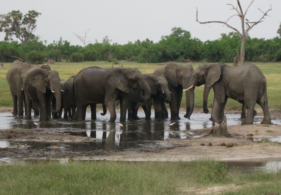 Elephant Insurance Claims Phone Number Your Name, Address, Phone Number