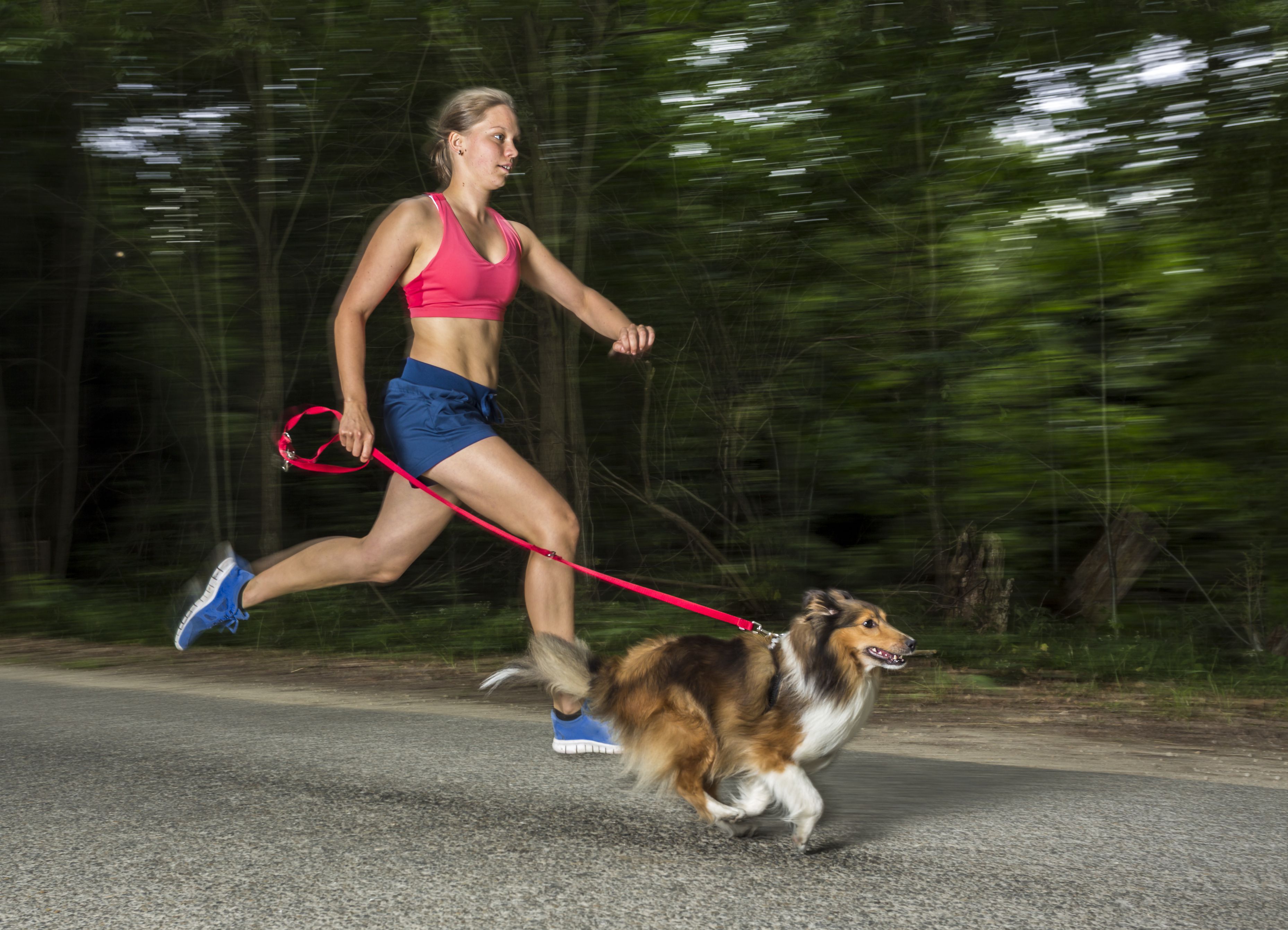 Dogs is run. Пробежка с собакой. Спорт с собакой. Девушка бежит с собакой. Собака бегает с человеком.