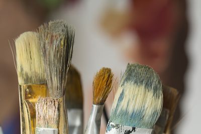 Types and Shapes of Art Paint Brushes