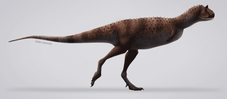 carnotaurus real