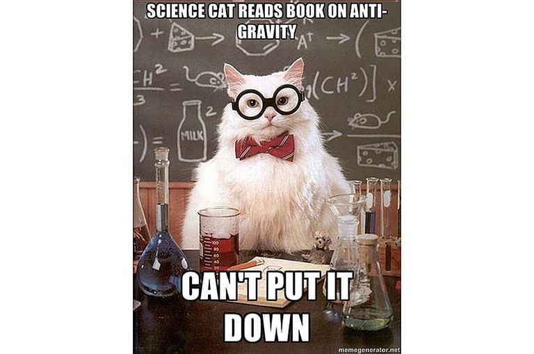 co electron configuration Cat  Best of Science Meme Chemistry