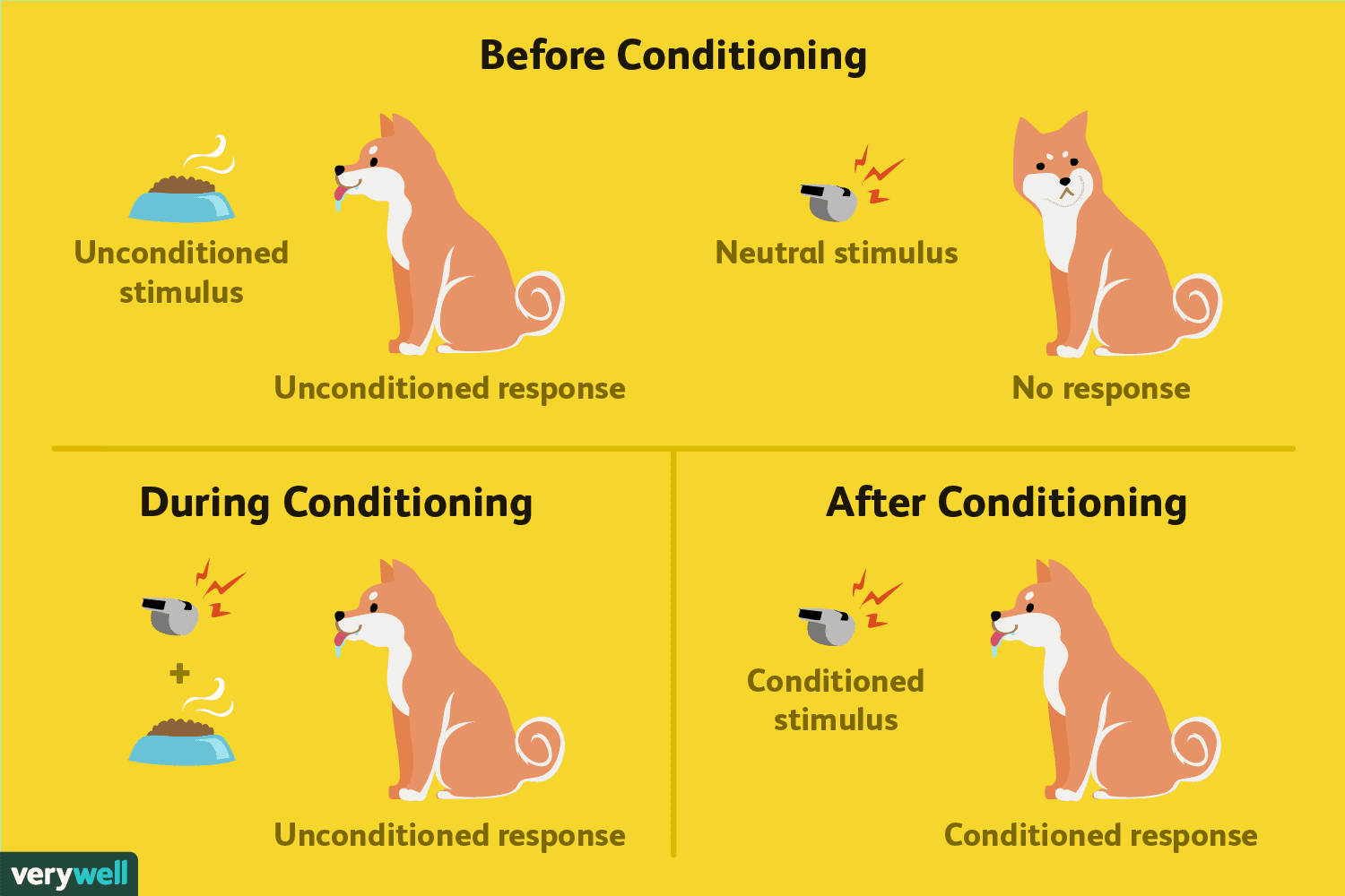 who discovered the basic process of classical conditioning?