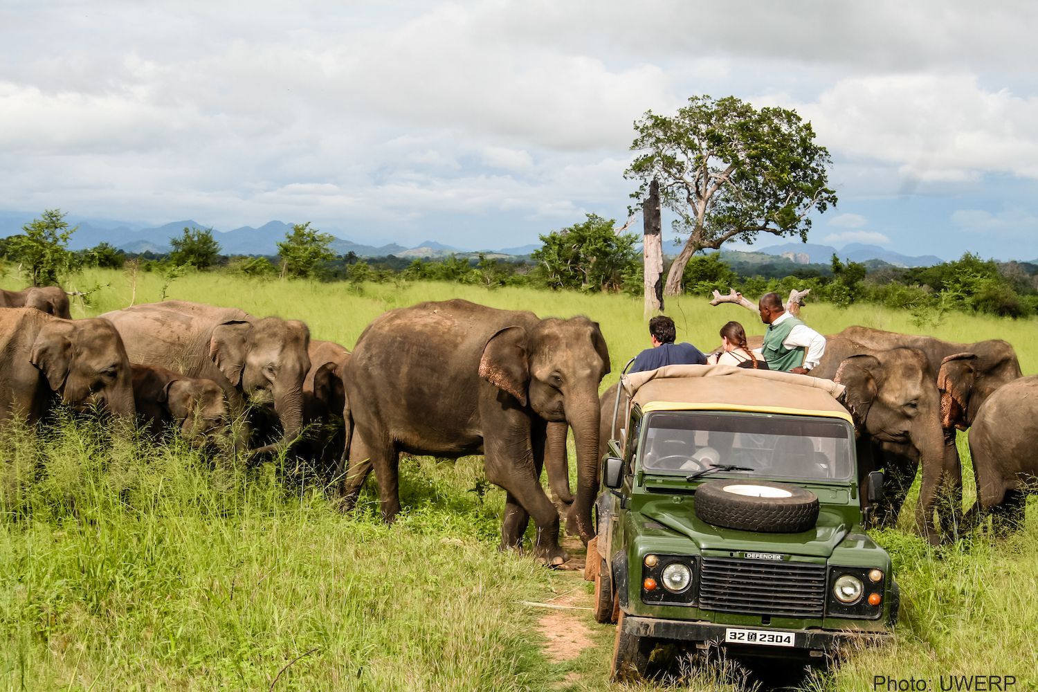 New Campaign Tells Tourists How to Behave Around Elephants