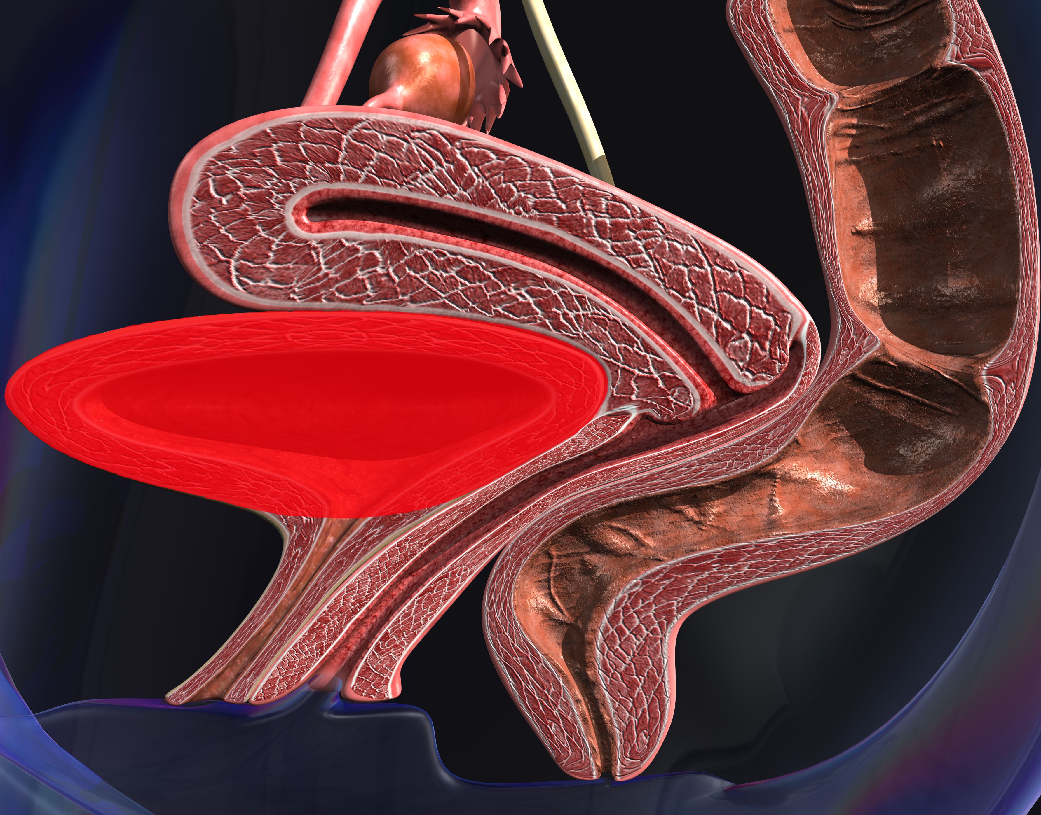 macrobid for urinary tract infection dosage