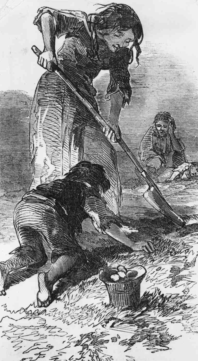 the-great-irish-famine-an-overview