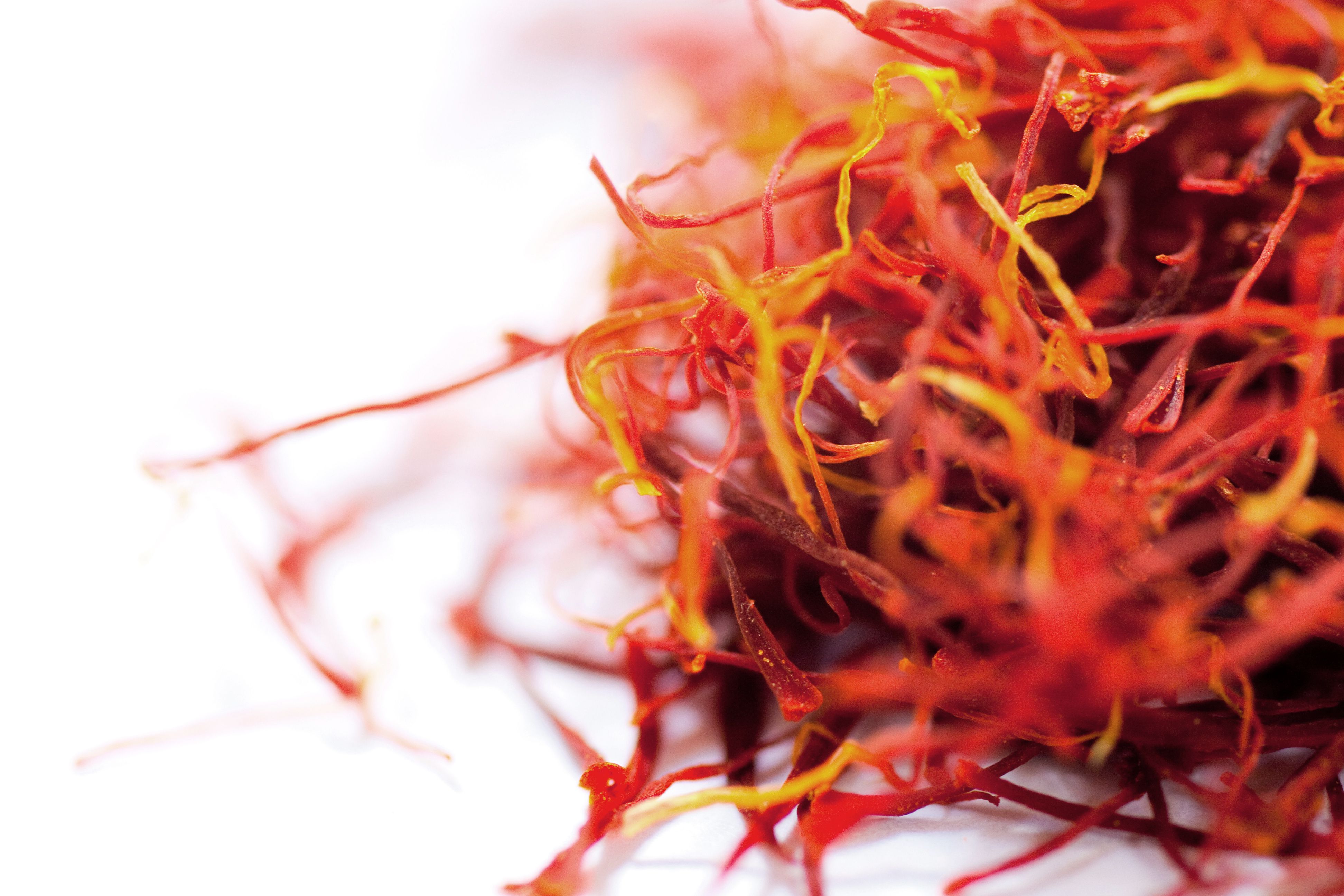 saffron-history-and-long-term-effects