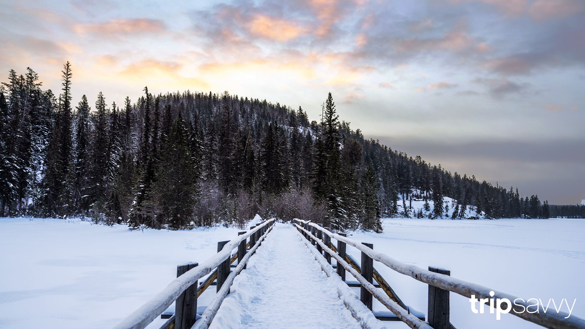 6 Winter-Themed Zoom Backgrounds