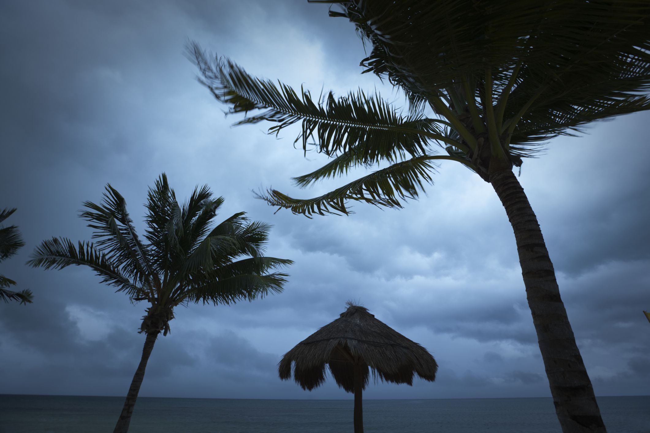 What to Do in Cancun When It Rains