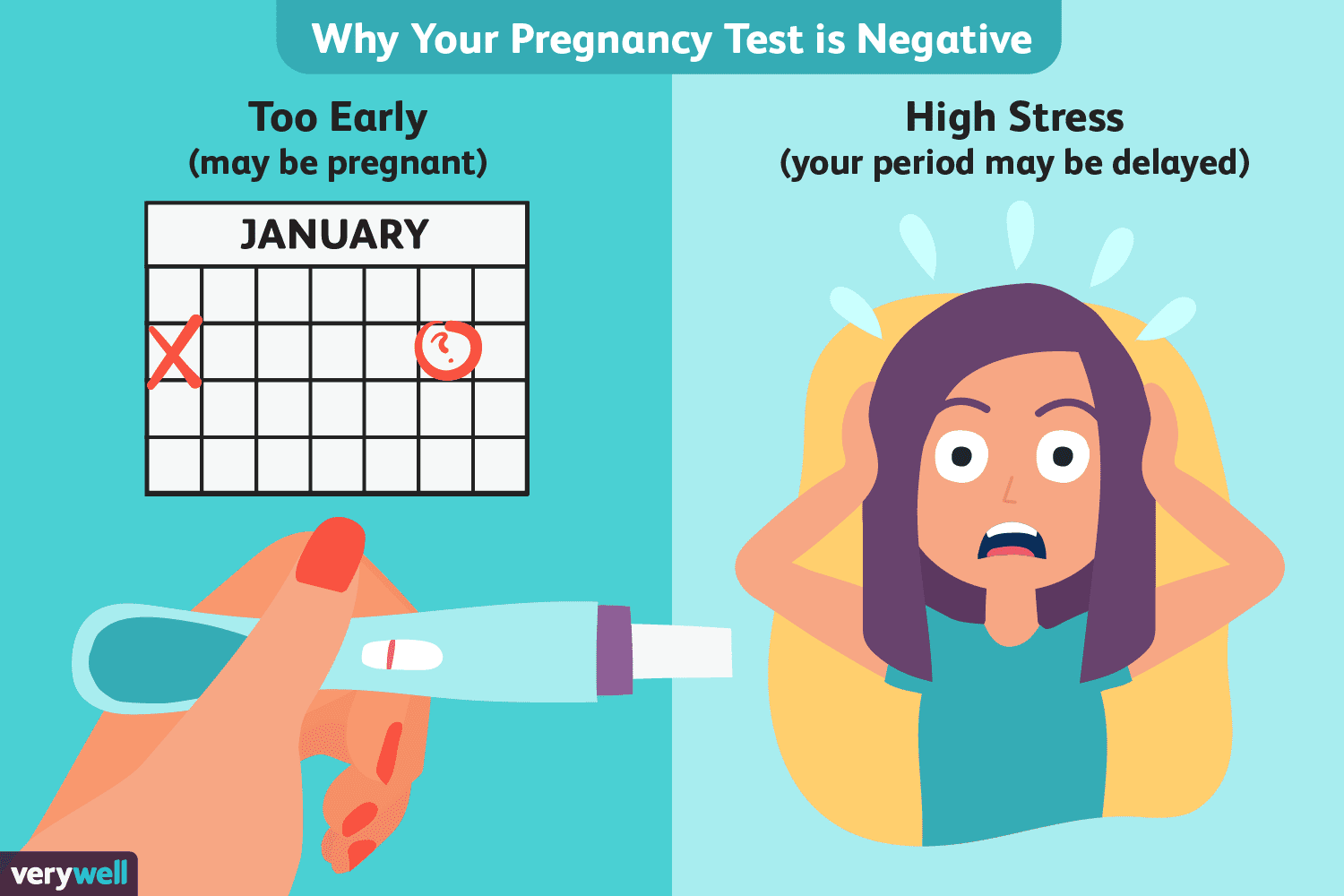 missed-period-but-negative-pregnancy-test