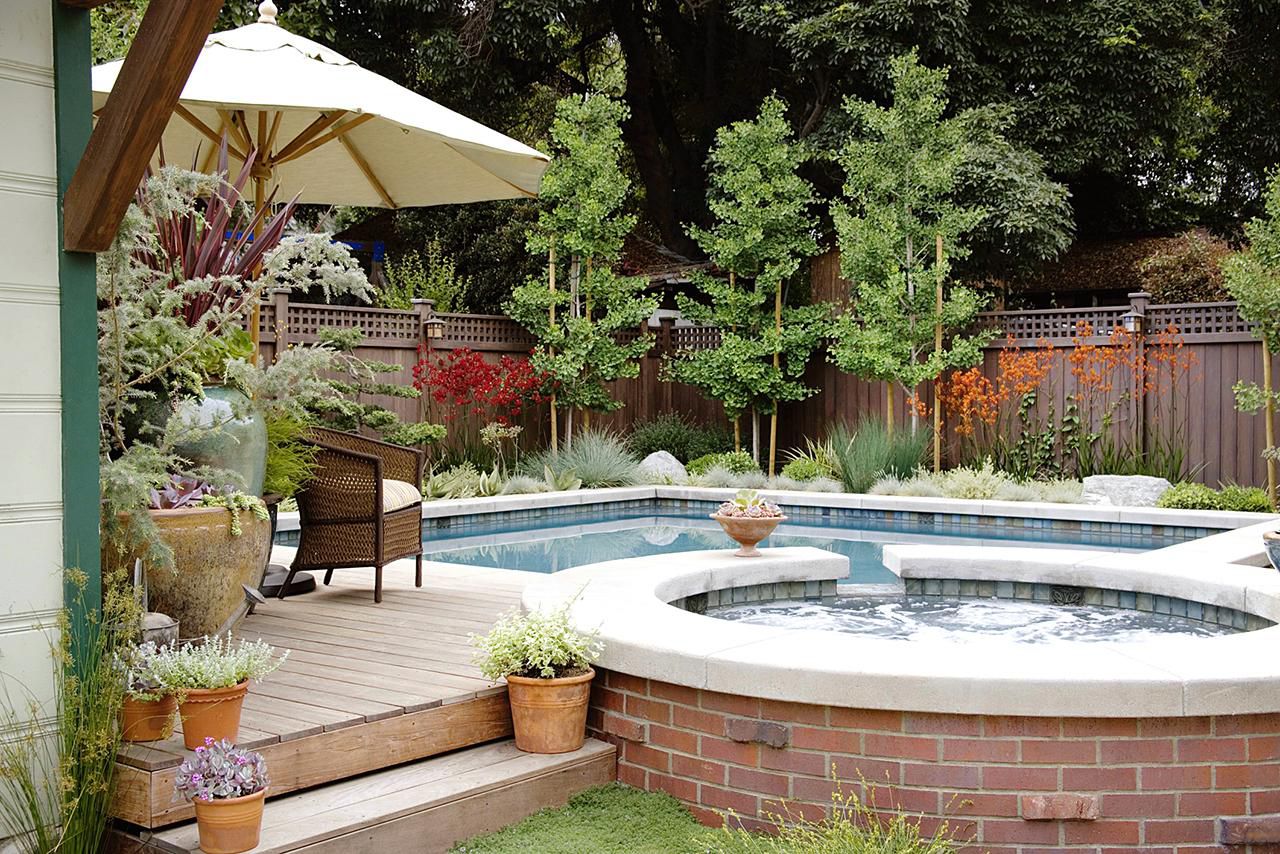 The Best Plants for Pool Landscaping