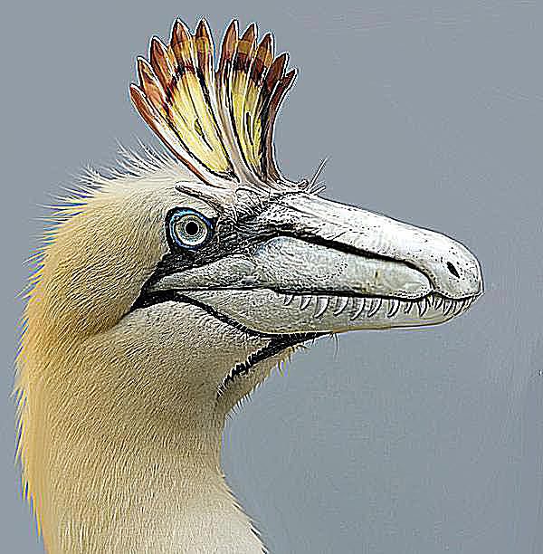 dinosaurs that lived in the ocean