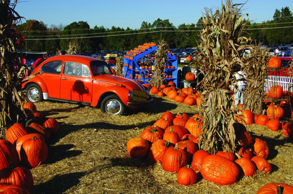 Best 10 Fall Festivals in Northern Virginia