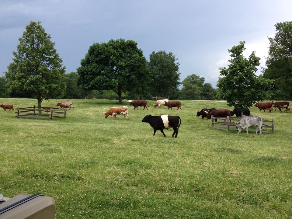 A Photo Tour Of Grant's Farm In St. Louis County