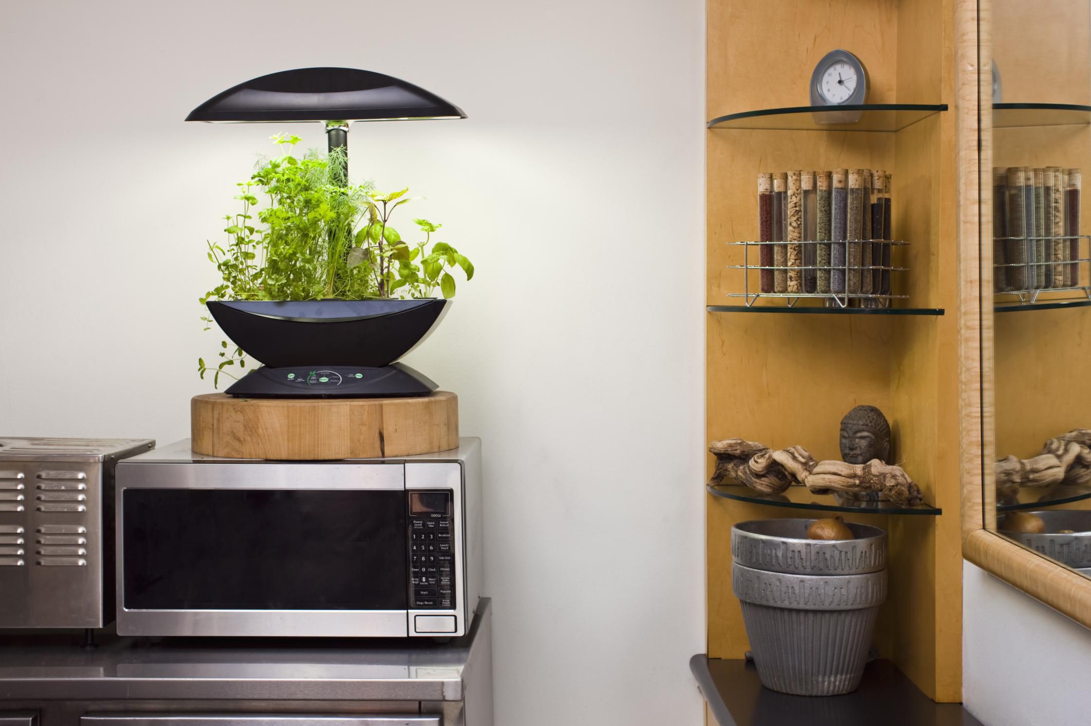 Basic Use of Artificial Lighting in Hydroponics System