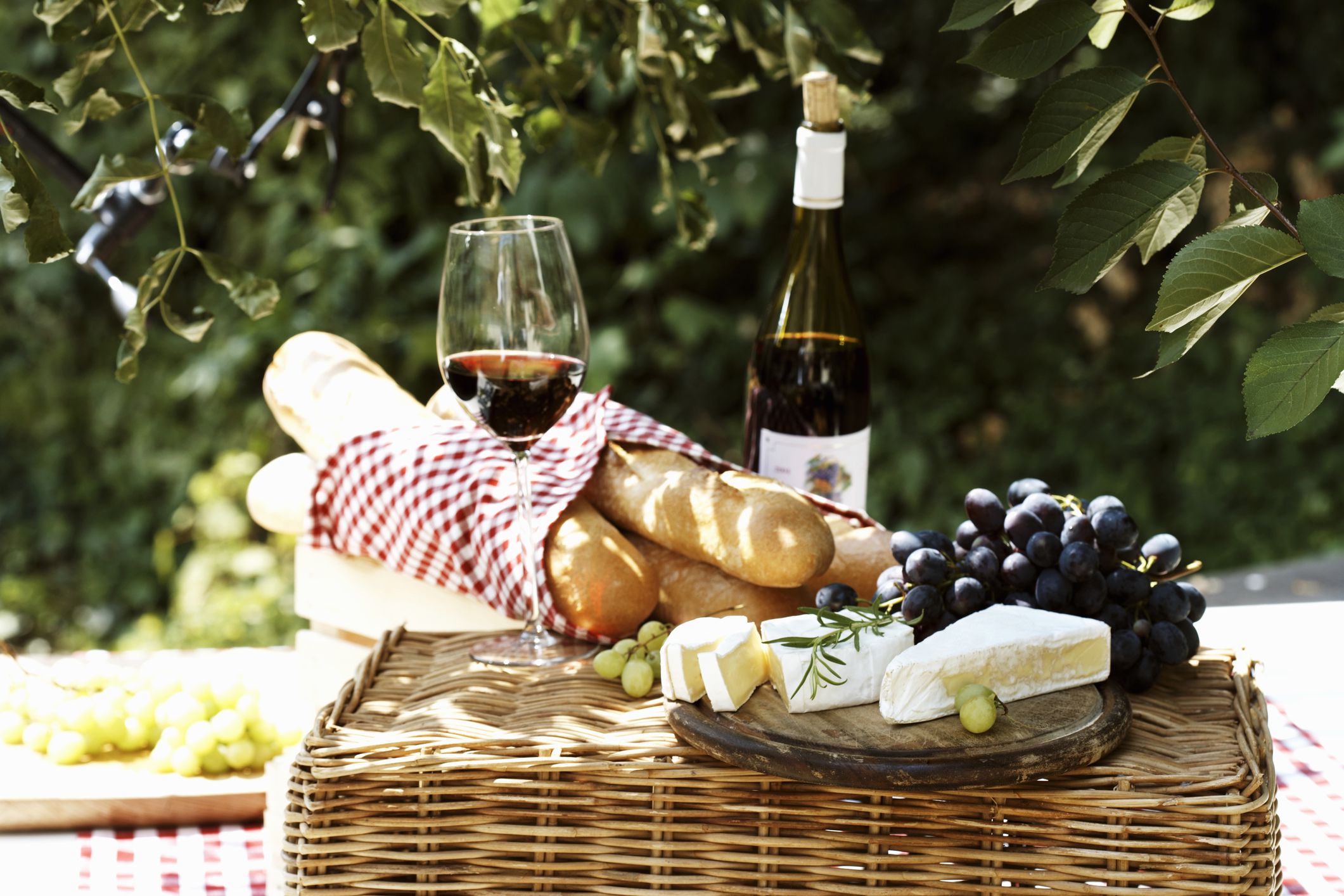 wine tours of france