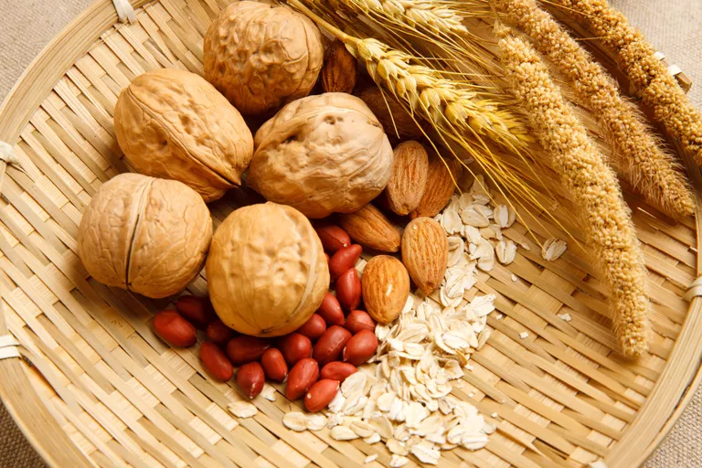 آجیل و دانه های غنی از منیزیم هستند. 6 ماده معدنی مهم برای بدنسازی و حفظ سلامت بدن