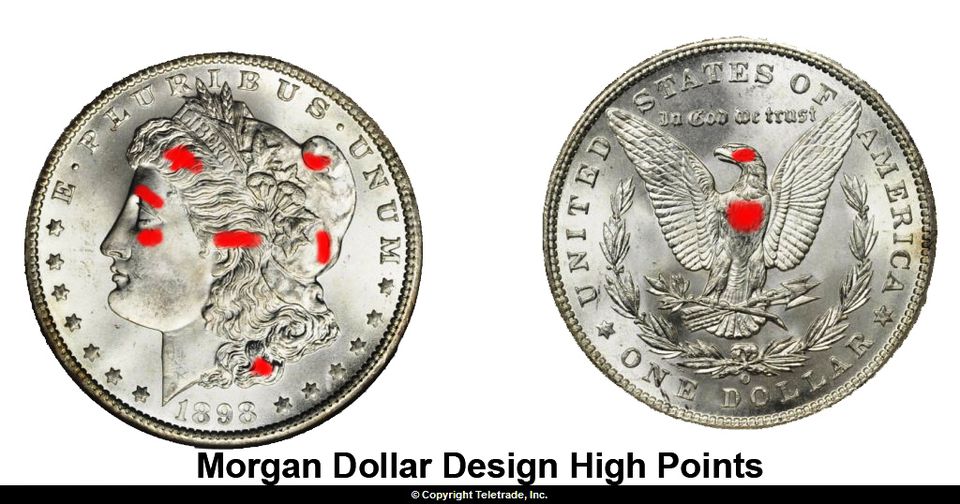 how-to-grade-morgan-dollars-guide-with-photo-examples