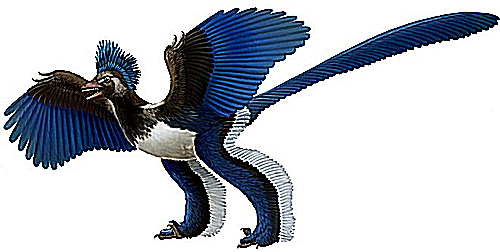 dinosaur avian