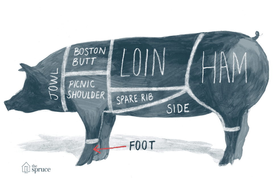 Cuts of Pork: Pig Diagram and Pork Chart wild pig anatomy diagrams 