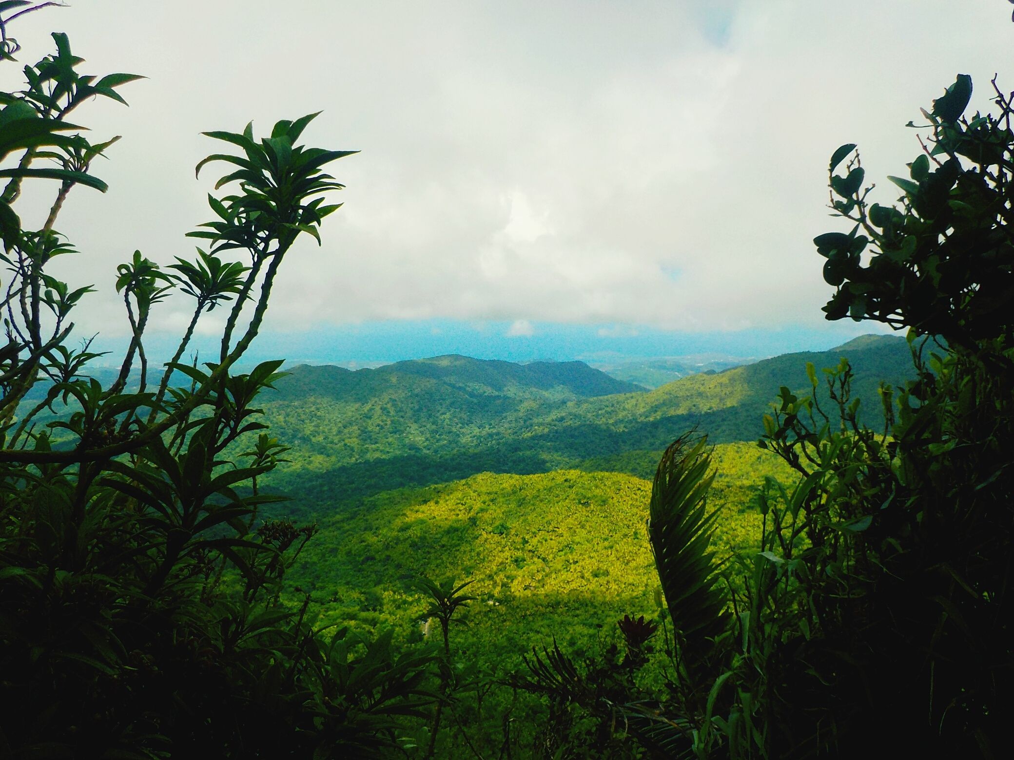 A Guide To Visiting El Yunque National Rainforest