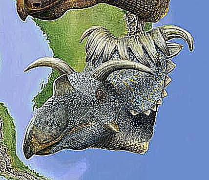 weird dinosaur