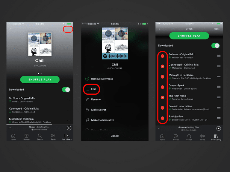 how to download my spotify playlist to my computer