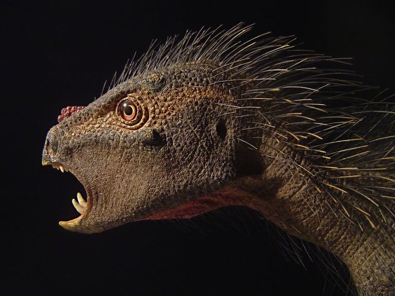 dinosaurs that look like dragons