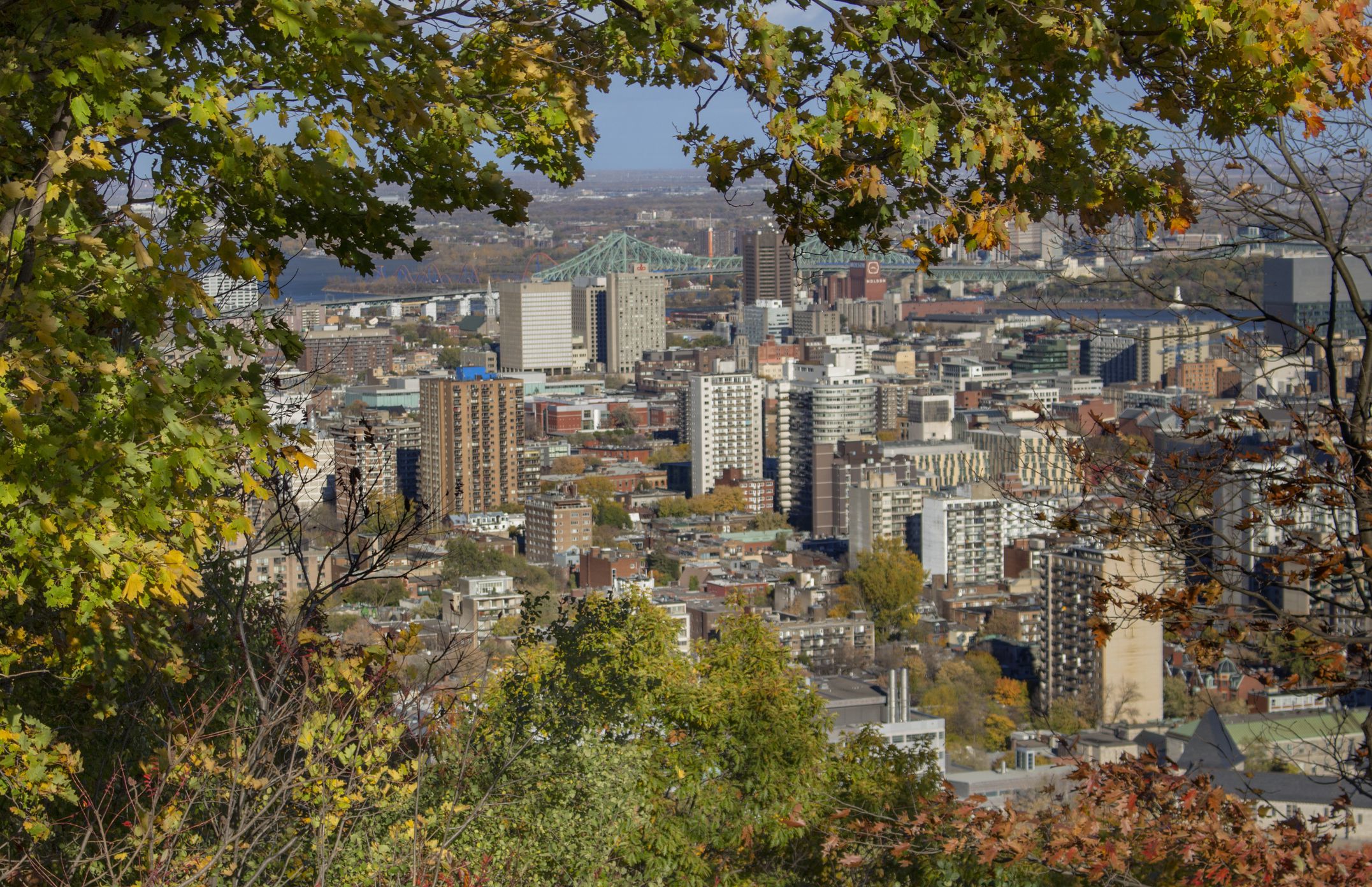 Mount Royal Park Visitors Guide