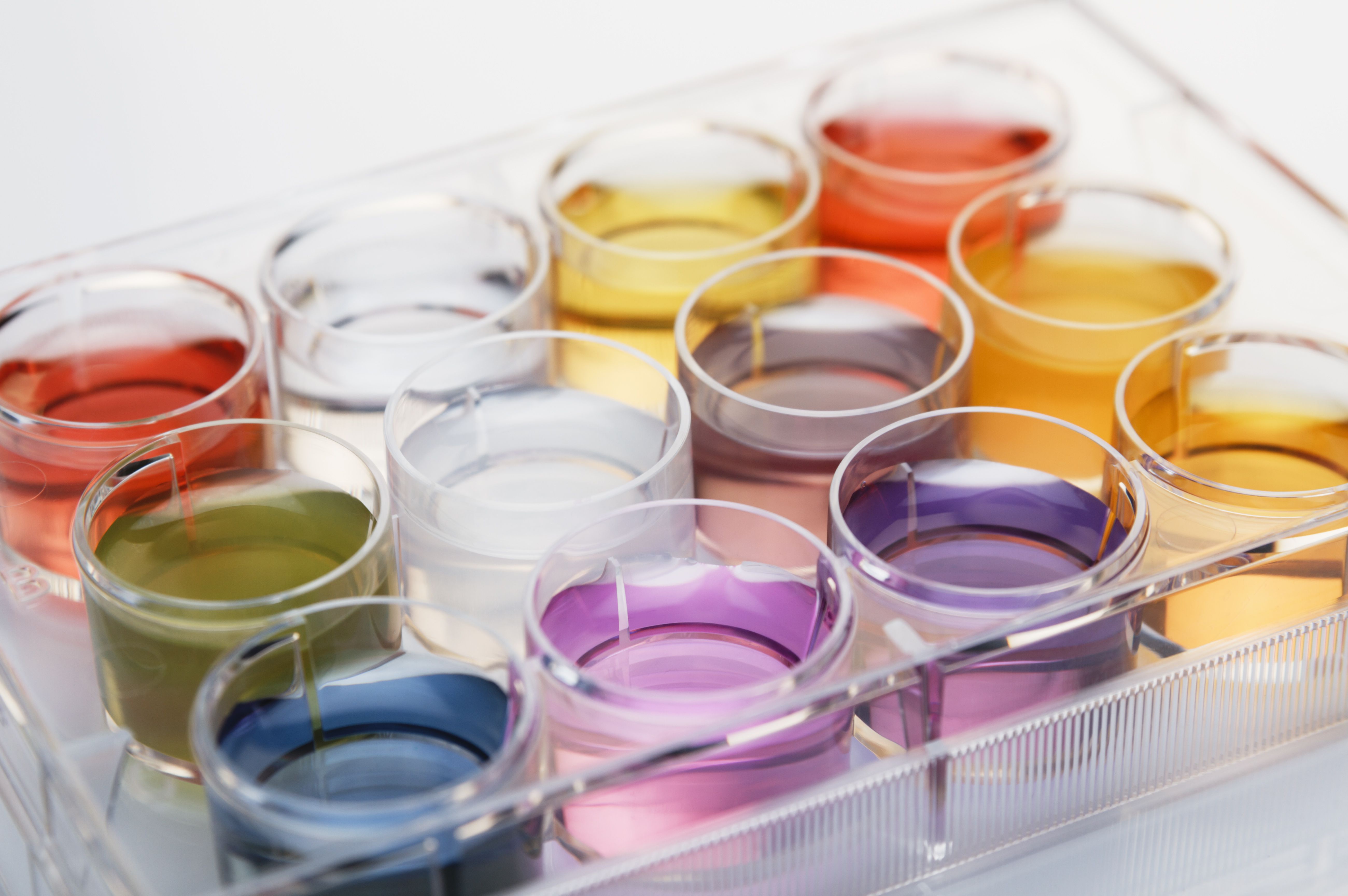 What Is a pH Indicator? Definition and Examples