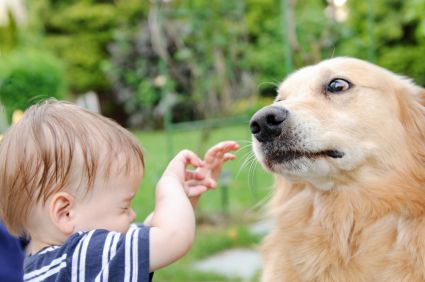 Dogs and Fear of Children