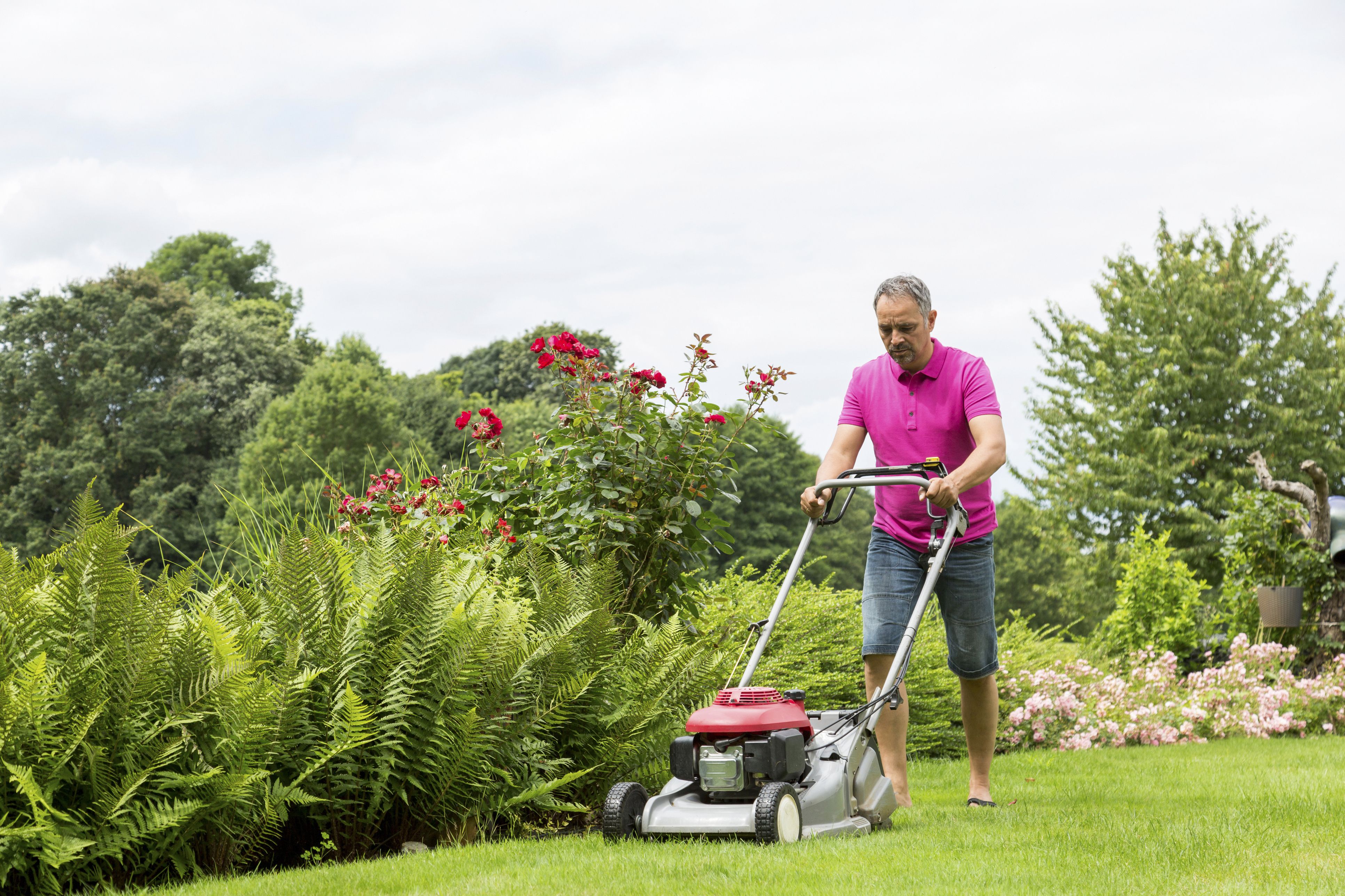 The 6 Best Push Lawn Mowers to Buy in 2018